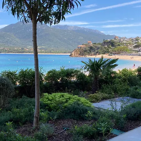 T3 Propriano Pieds Dans L'eau Wifi Climatise * Propriano (Corsica)