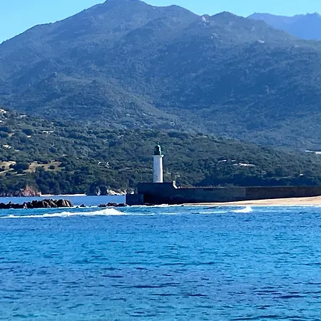 דירה T3 Propriano Pieds Dans L'eau Wifi Climatise